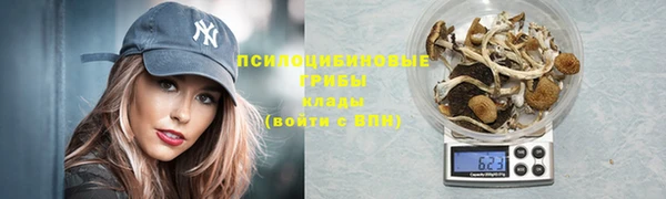 метадон Алексин