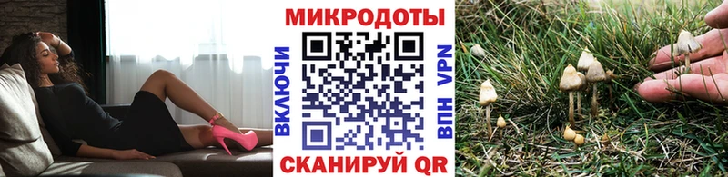 Галлюциногенные грибы Psilocybine cubensis  darknet телеграм  Углич  продажа наркотиков 